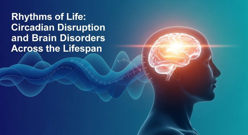 Rhythms of life: circadian disruption and brain disorders across the lifespan