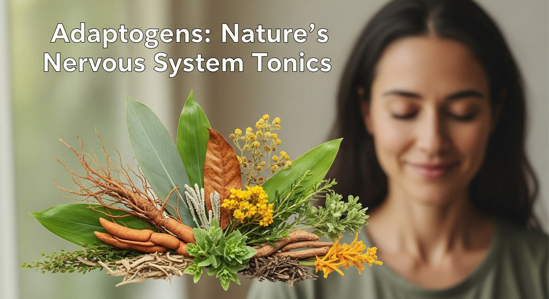 Adaptogens: Nature’s Nervous System Tonics
