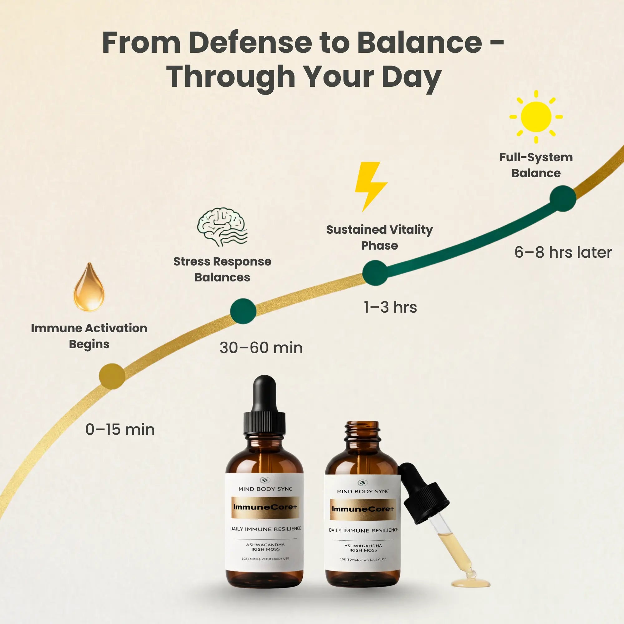 Core+ | Daily Resilience & Balance