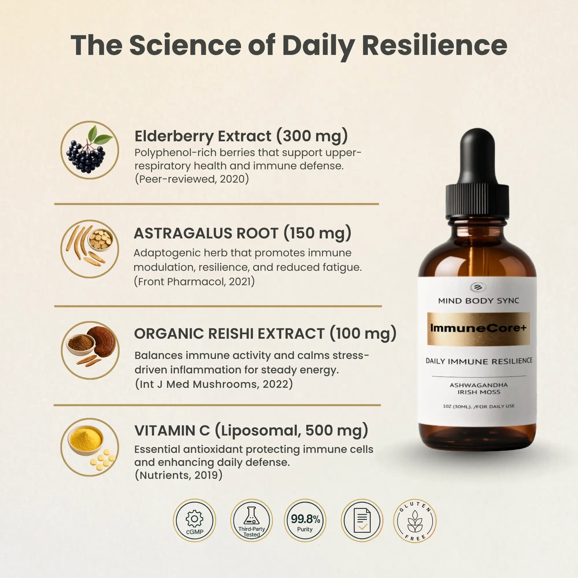 Core+ | Daily Resilience & Balance