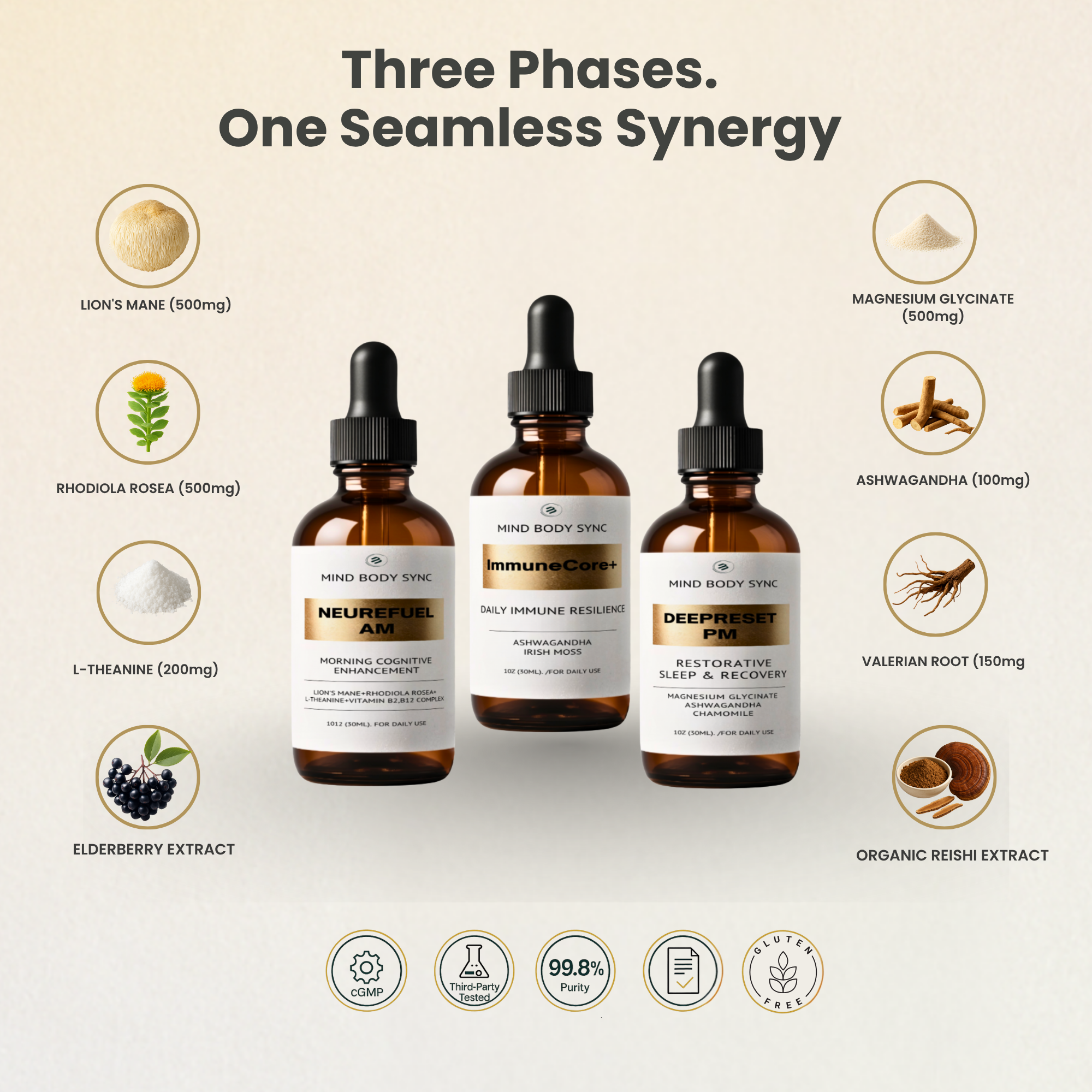 The Executive Protocol - 24-Hour Rhythm Support†